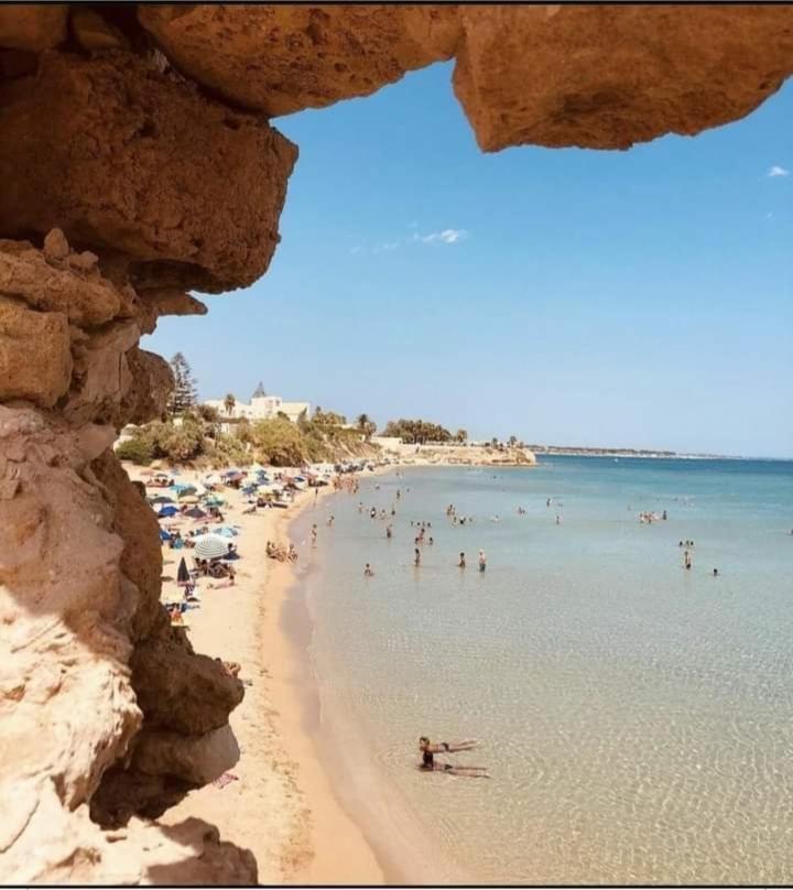 Apartamento Villagrecale *